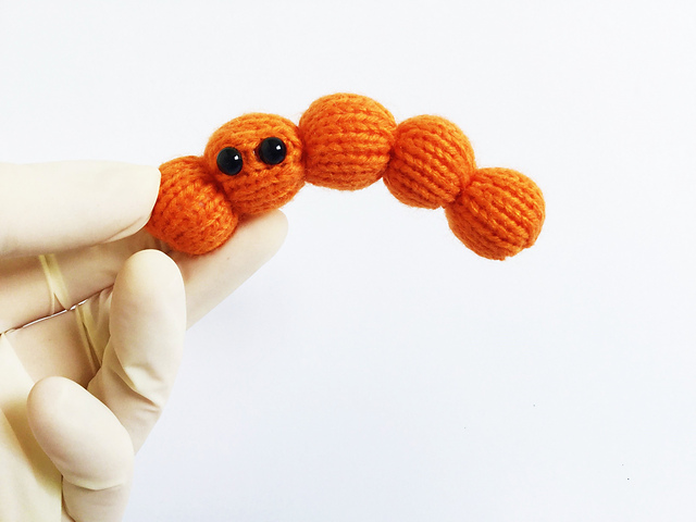 Baby Streptococcus Chain