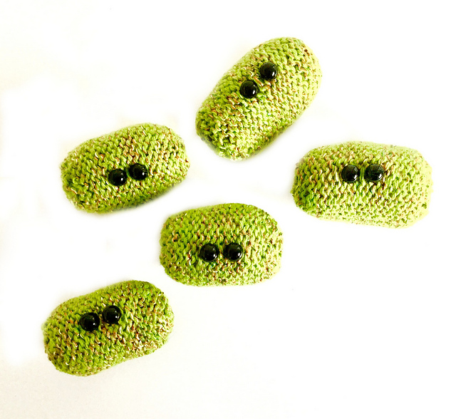 Baby Chloroplasts