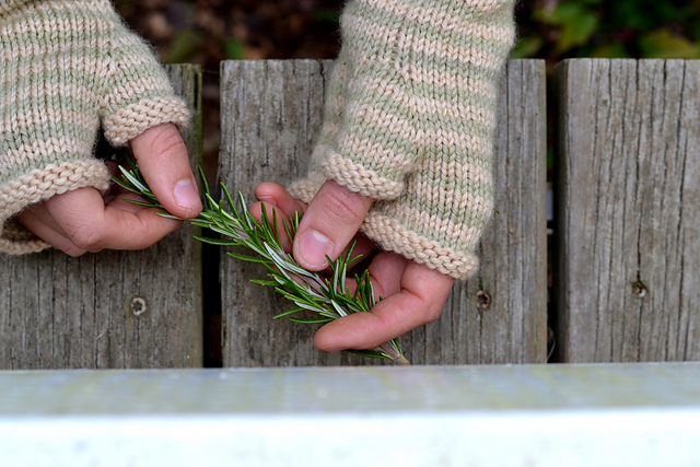 Rosemary Mitts