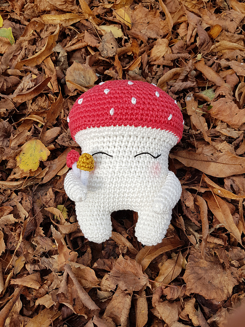Molly Mushroom