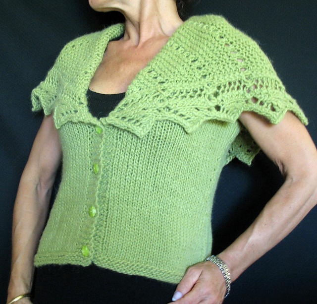 Shawl Collared Lace Jacket #113