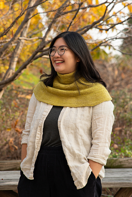 Winter Weave Cowl