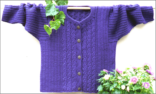 Braids Cardigan #402