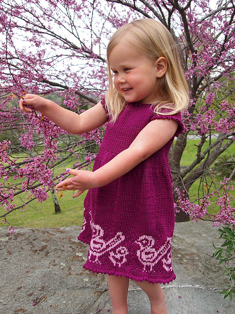 Baby Birds Dress