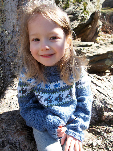 Food Chain Sweater