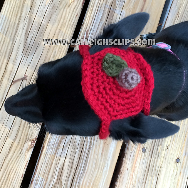 Apple Headpiece