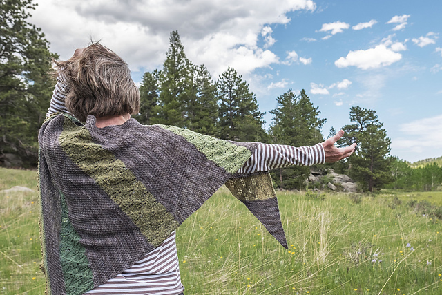 Ponderosa Shawl