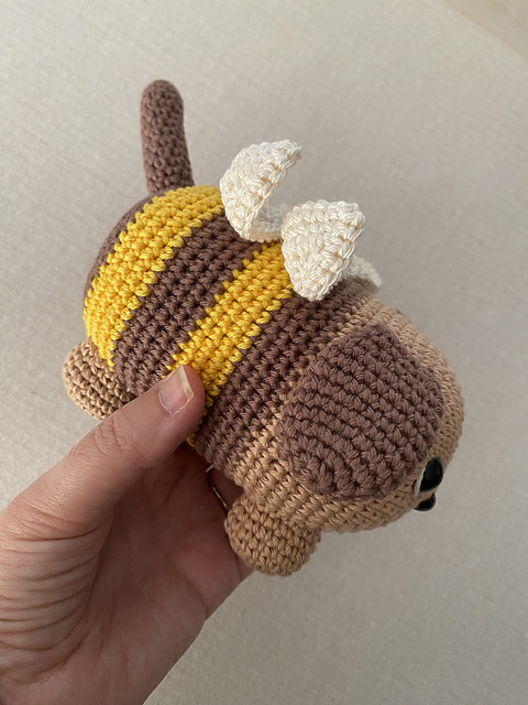 Bee Puppy