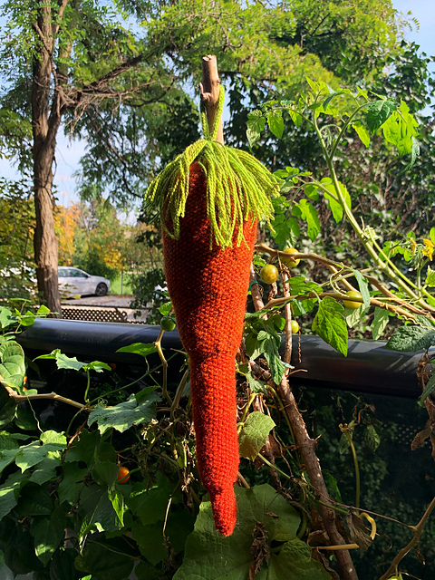 Carrot Pincushion