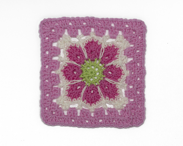 751 Watermelon StarBurst Square