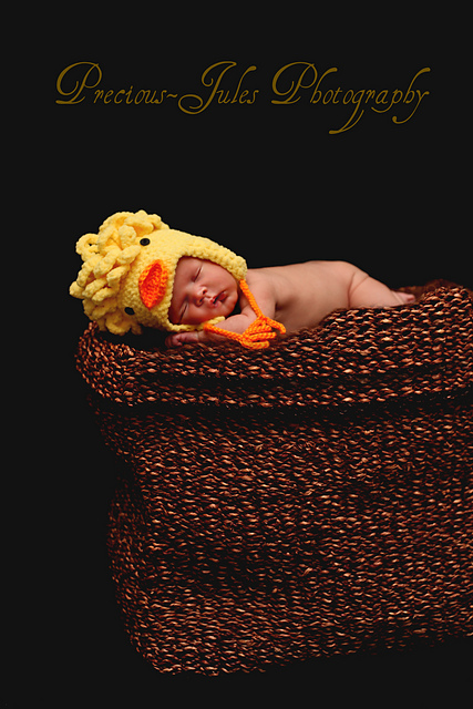 544 Baby Chick Hats