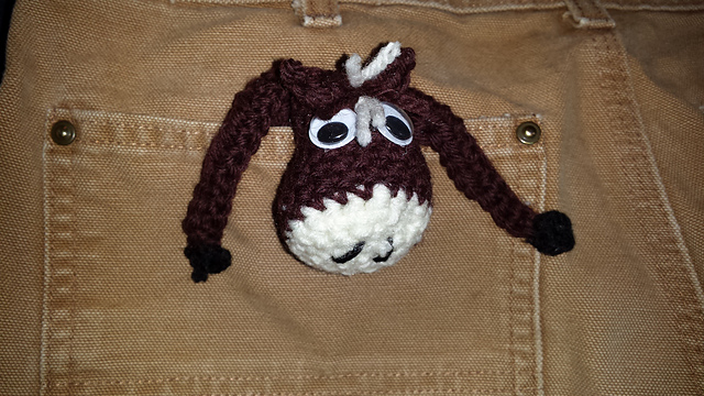 Pony Pocket Pal