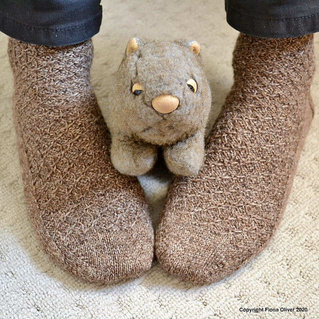 Sleepy Wombat Socks