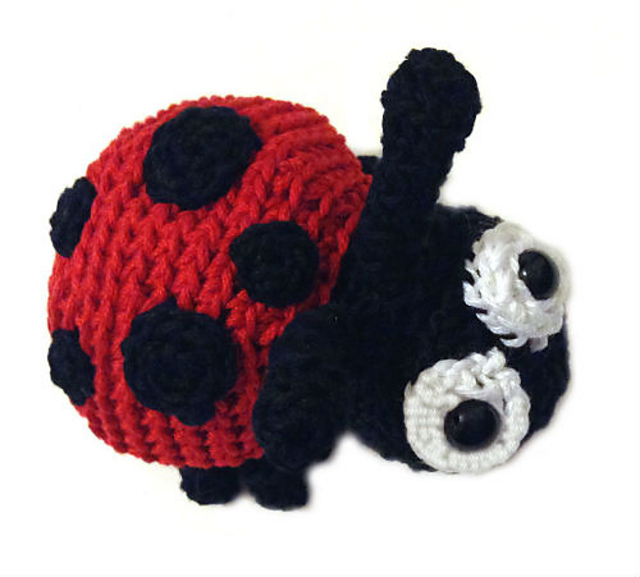Microcosmos: Ladybug