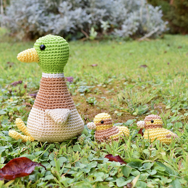 Mallard duck & duckling
