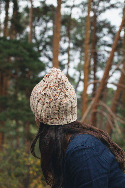 Roof Hat