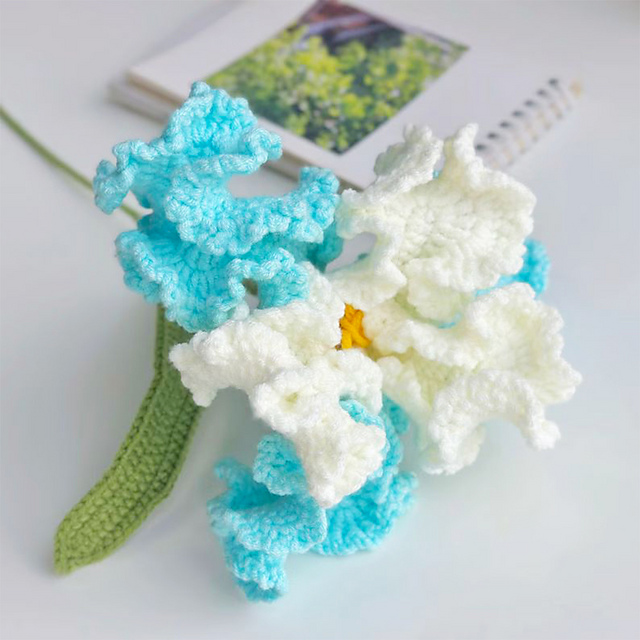 Iris Flower
