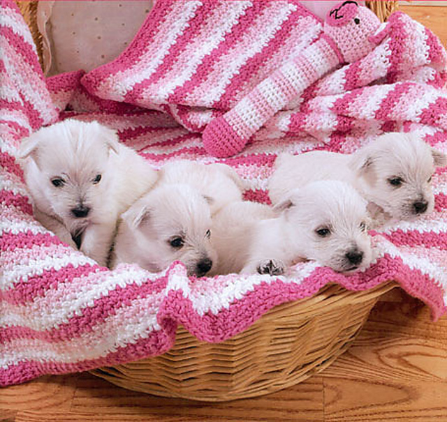 Unbearably Cute Blanket