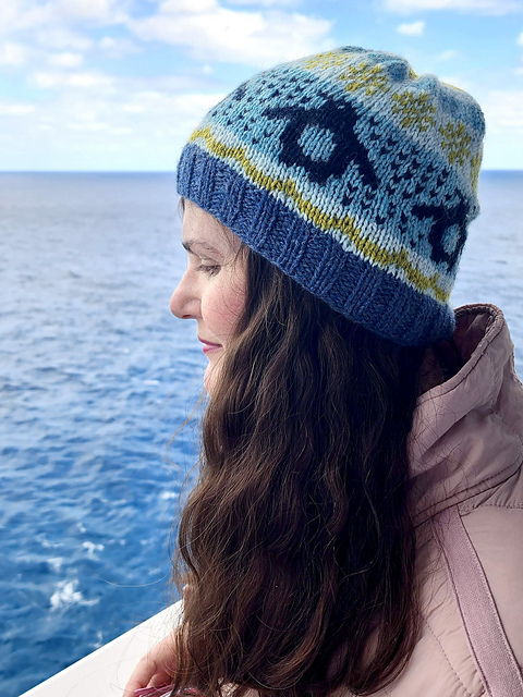 Penguin Ruckus Worsted