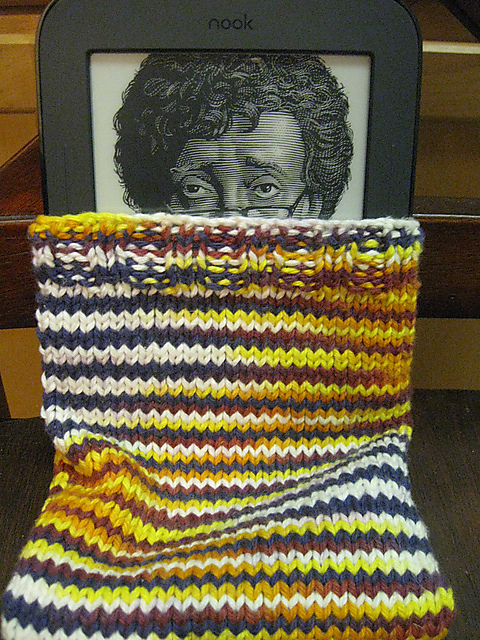 Nook Simple Touch Cover