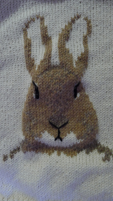Ravelry: Peter Rabbit Mother and Daughter Tunic pattern by Pat Menchini