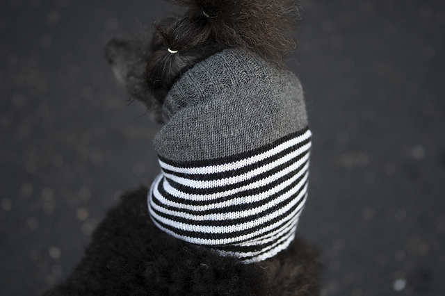 Urban Aesthetic Dog Snood