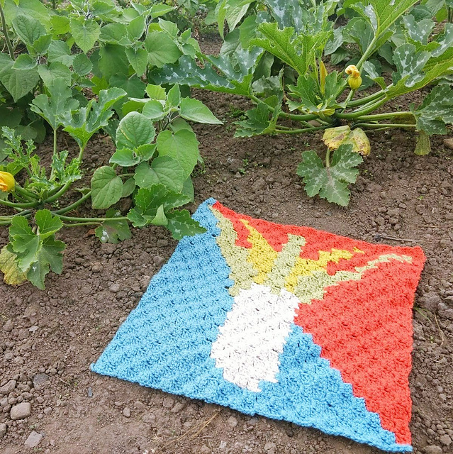 Leek c2c square