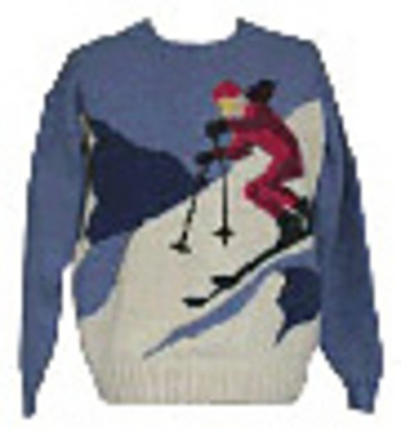 Downhill Skier