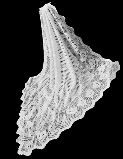 Chickens Shawl