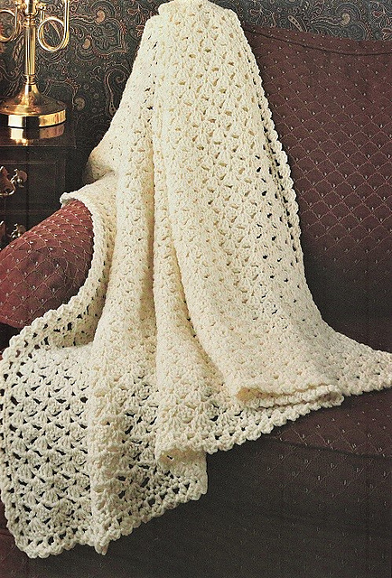 Lacy Shells
