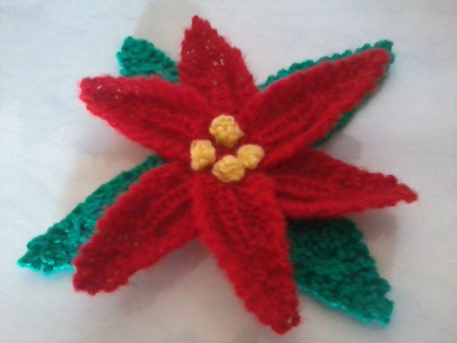 Poinsettia Christmas Flower