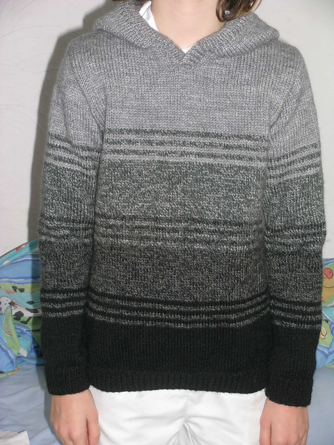 01 - Pull à capuche