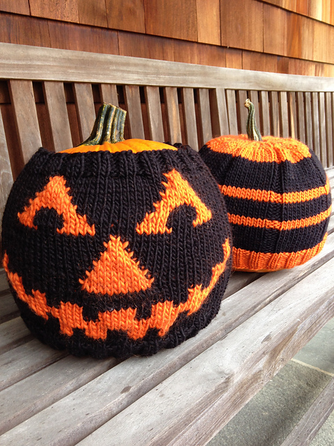 halloween pumpkin wraps & cosy