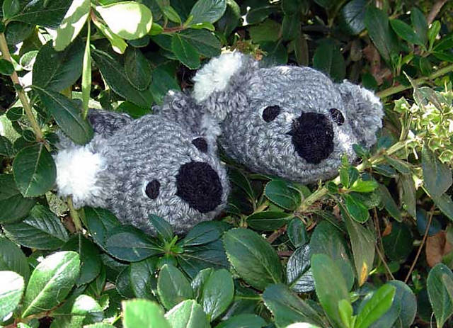 Koala Bear Booties-55