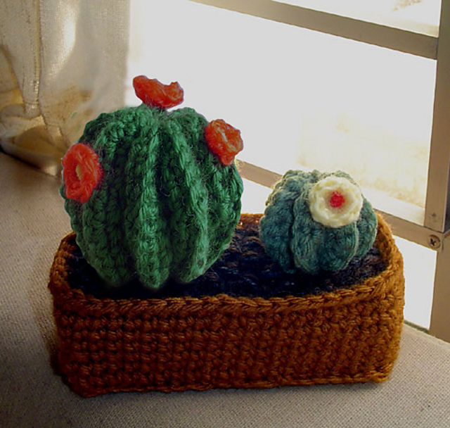 Cactus Garden