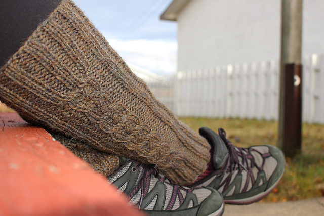 Brambleberry Legwarmers