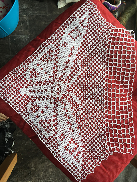 Butterfly Design in Filet
