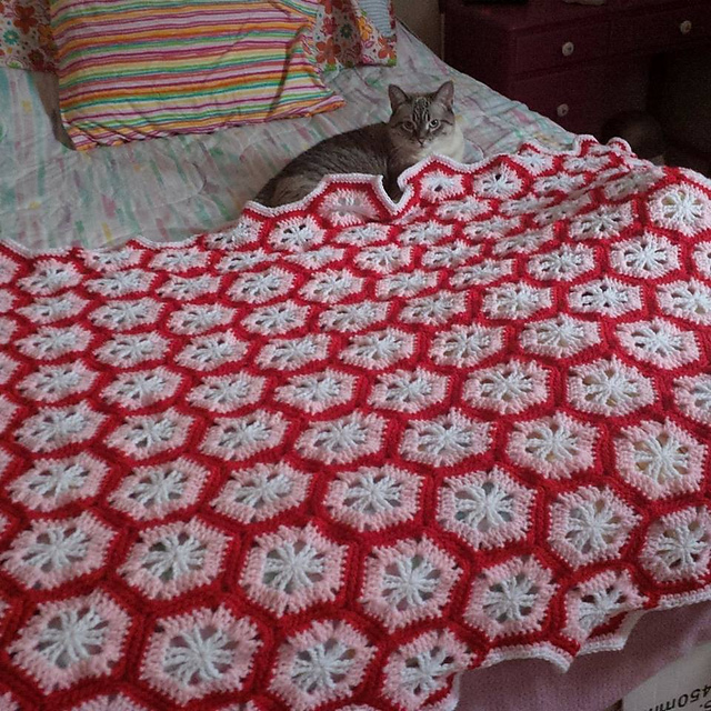 Open Hexagonal Afghan