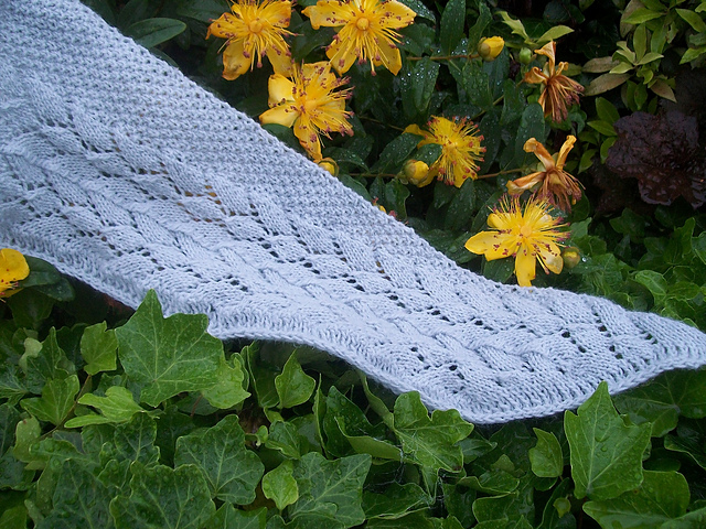 Dragon Wing Shawlette