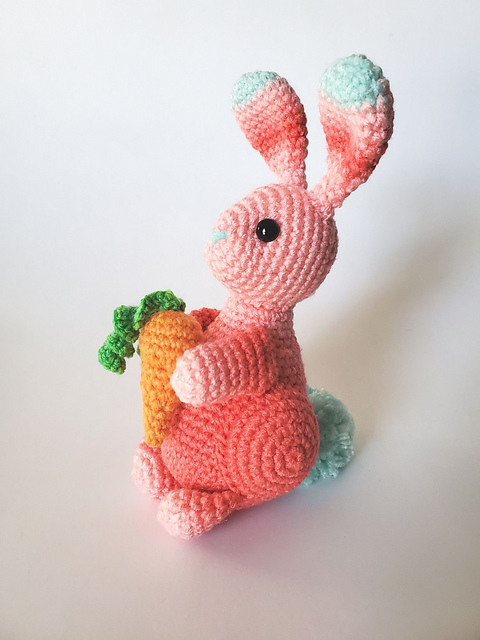 Brie the Bunny