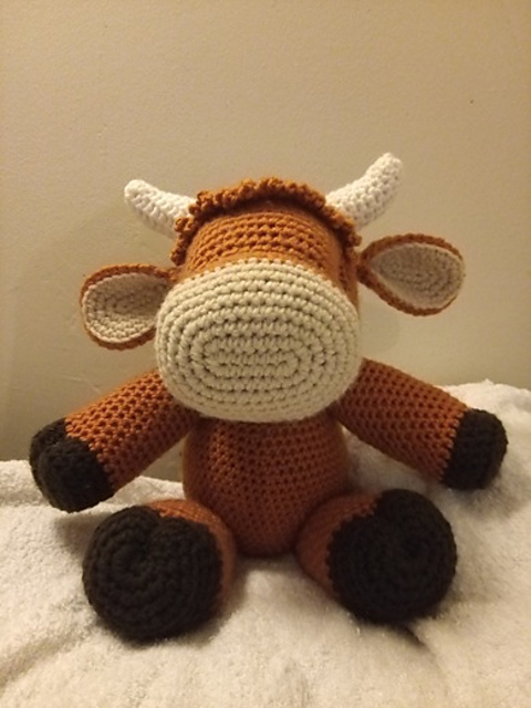 Highland Cow