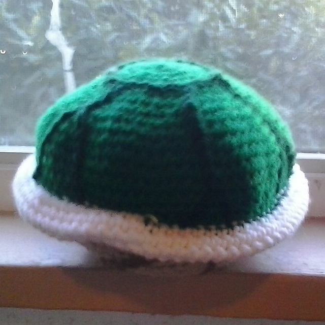 Turtle Shell