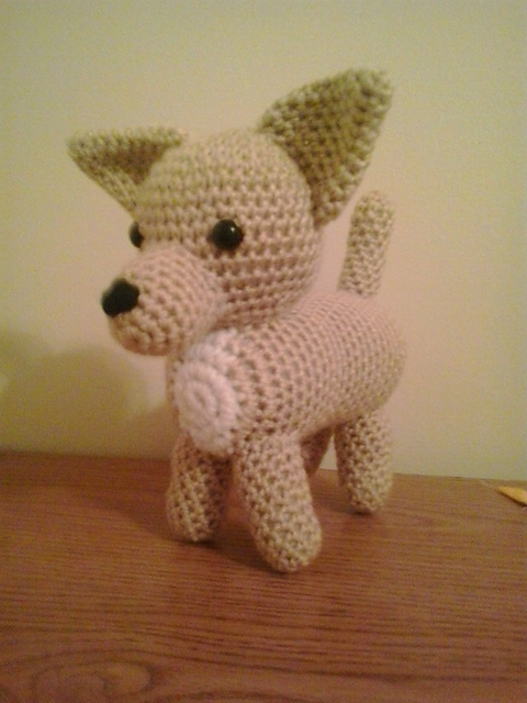 Chihuahua