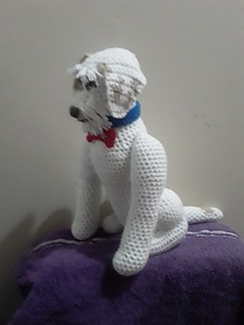 Nellie the Jack Russell Terrier