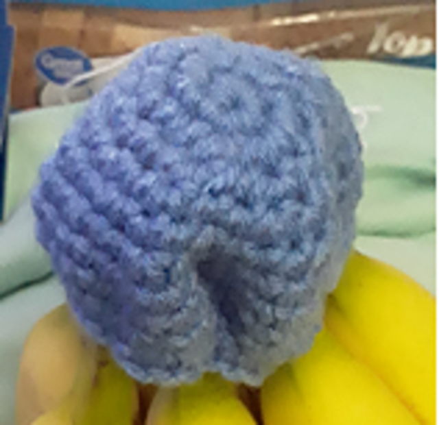 Banana Stem Moisture Holder