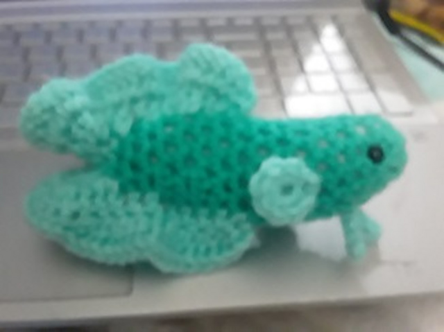 Betta Fish