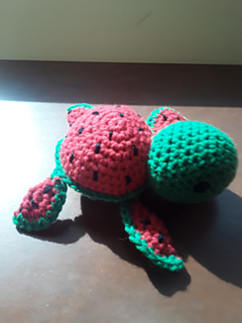 Watermelon Turtle