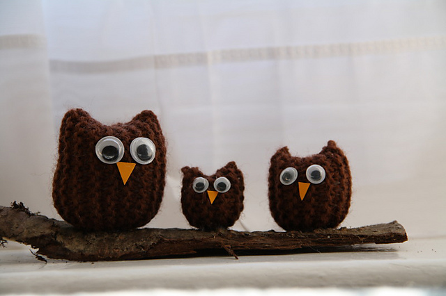The Owl Family