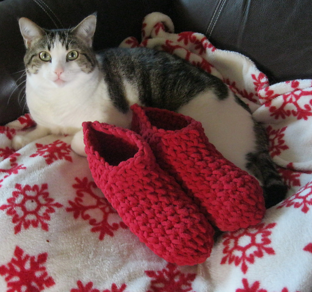 SNUGGLE SLIPPERS