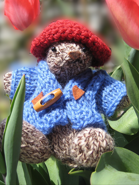 Paddington Bear